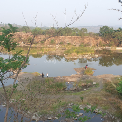Image-9