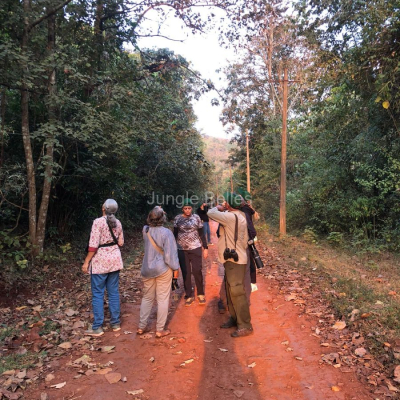 Image-2