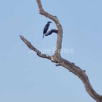 IMG-20240503-WA0004