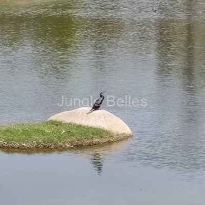 IMG-20240503-WA0011