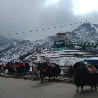 Sikkim-7