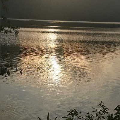 image00009