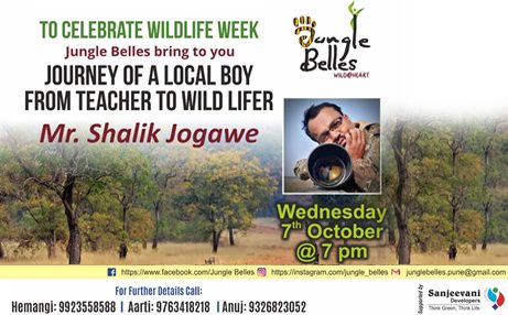 Chat with Shalik Jogwe to hear about his journey from a teacher to a wild lifer