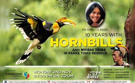 Chat with Amruta Rane about conservation of Hornbills in Arunachal Pradesh